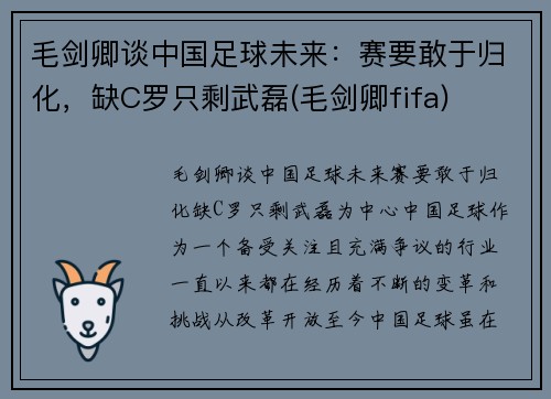 毛剑卿谈中国足球未来：赛要敢于归化，缺C罗只剩武磊(毛剑卿fifa)